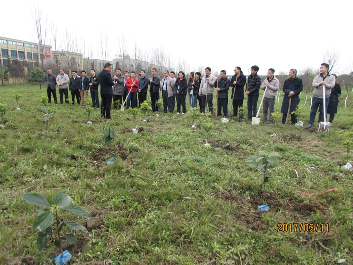 首页- 人生就是博中国官方网站